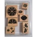 Stampin' Up! Lot- Sparkling Summer, Simply Spring, Citrus & Such, Cute As a Bug