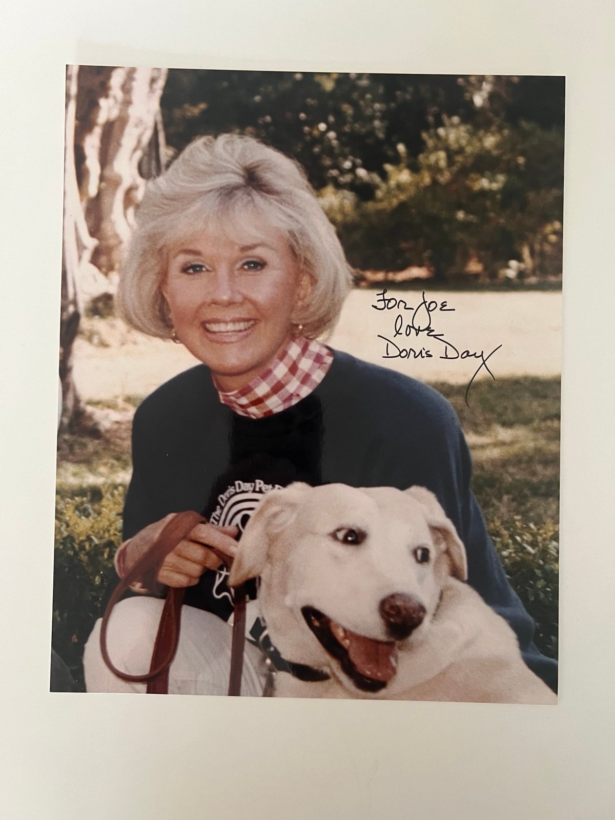 Doris Day Signed 8x10 Autograph Photo | Singer, Actress | Pillow Talk