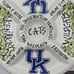 Kentucky Wildcats UK Gameday Chip N' Dip Bowl Magnolia Land Collection Licensed