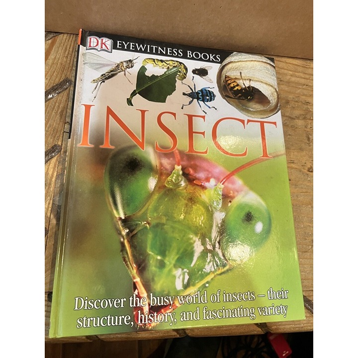 Insect Eyewitness