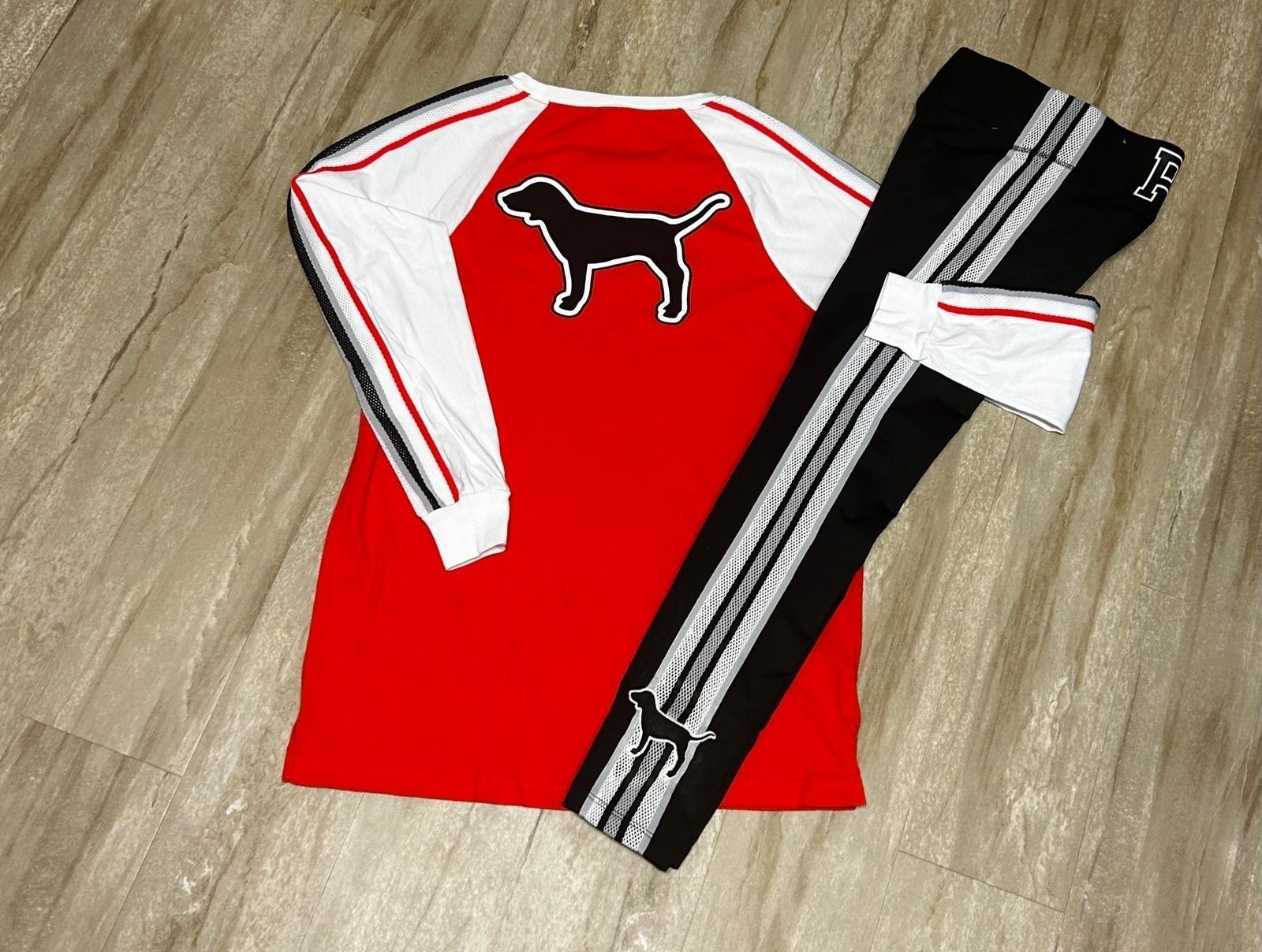 PINK VS Dog Set