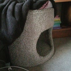 Cat house