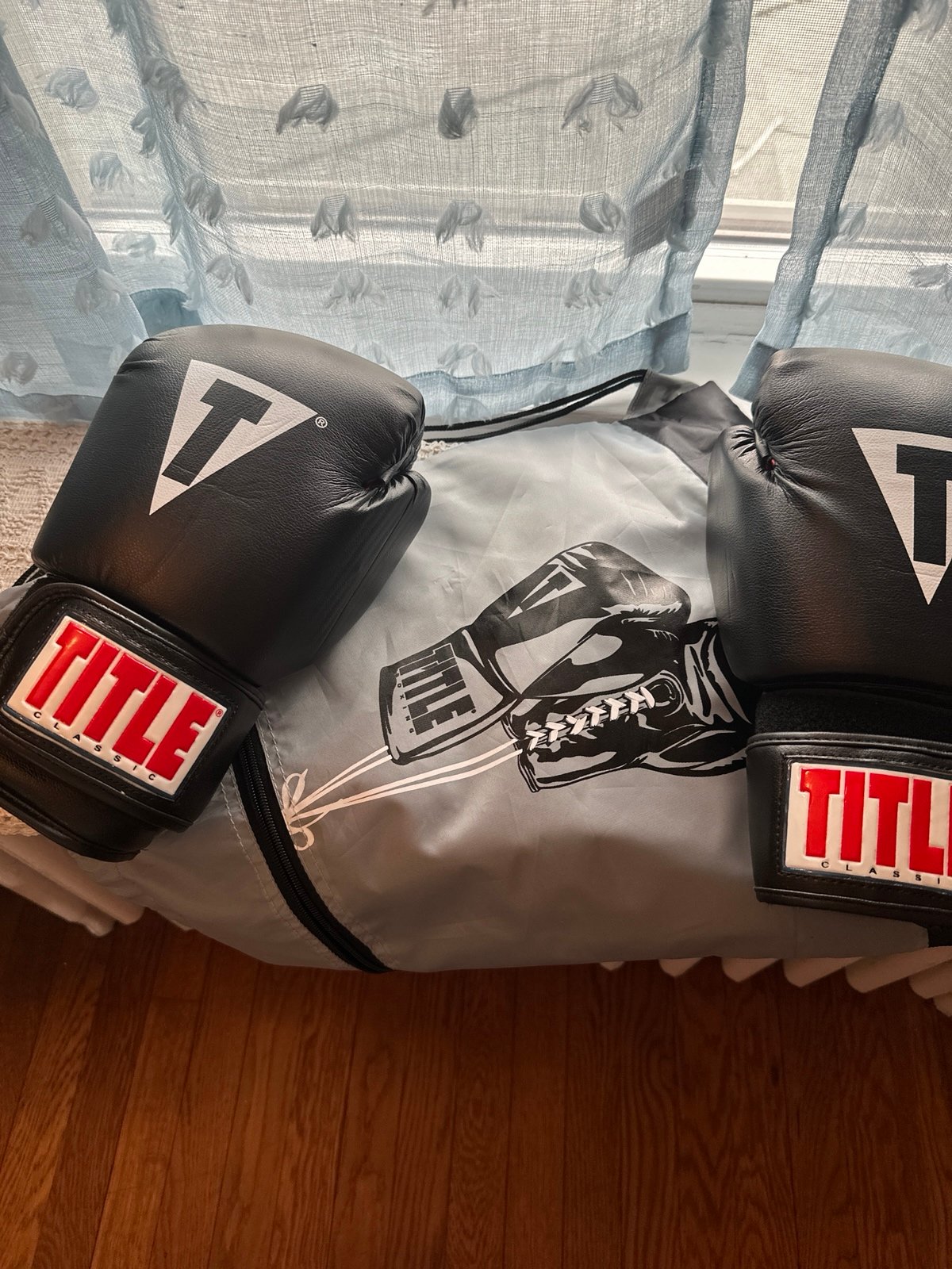 TITLE Boxing Gloves REG