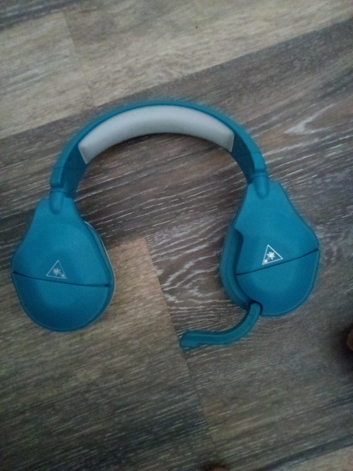 Turtle Beach Stealth 600 X2
