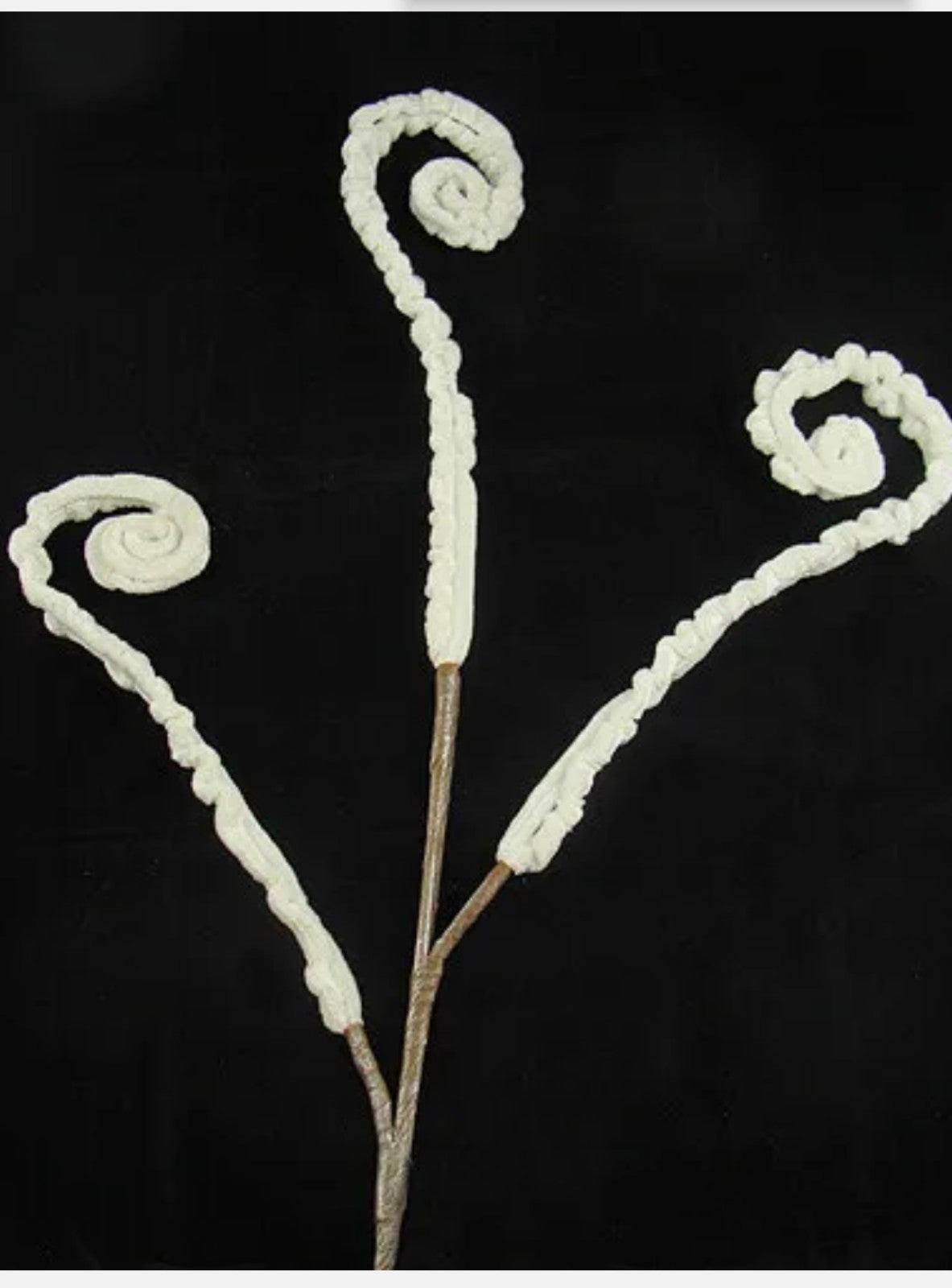 Raz 36 Whimsical White Glittered Fiddlehead Fern Curl Christmas Spray