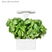 Short Stories LED Indoor Planter
