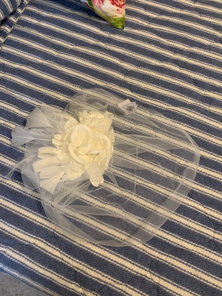 David's Bridal Hat/hair piece