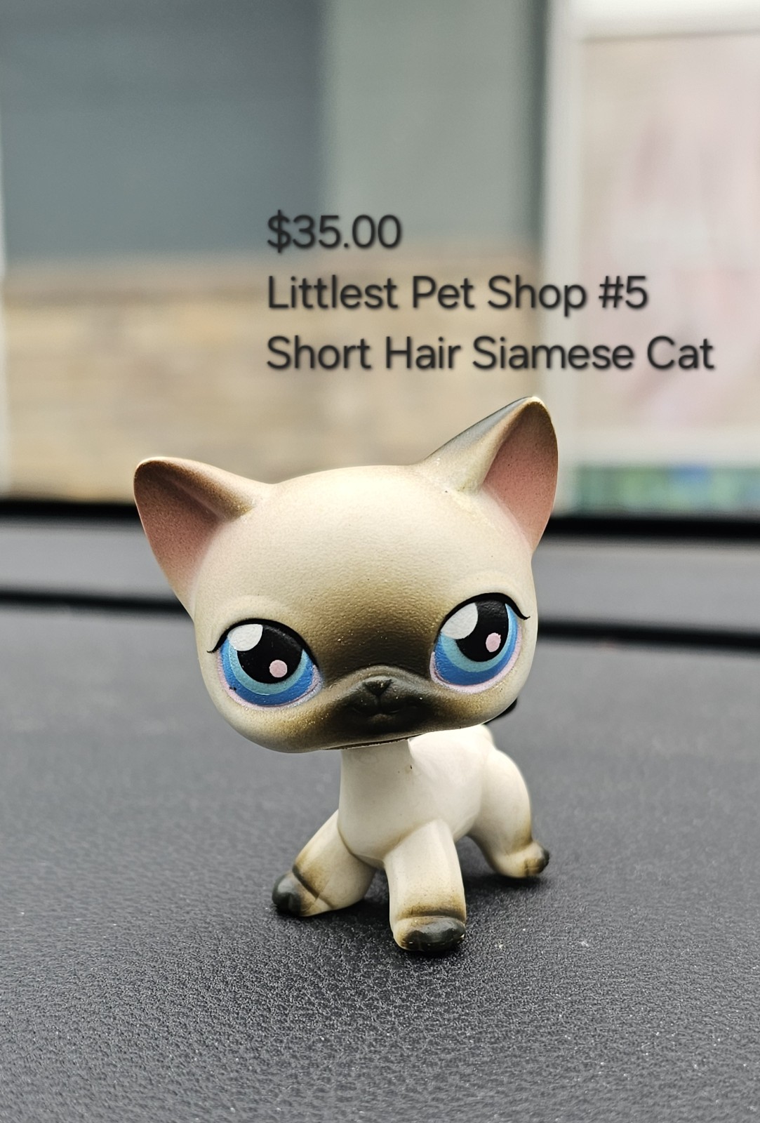 LPS #5 Short Hair Siamese Cat // Littlest Pet Shop