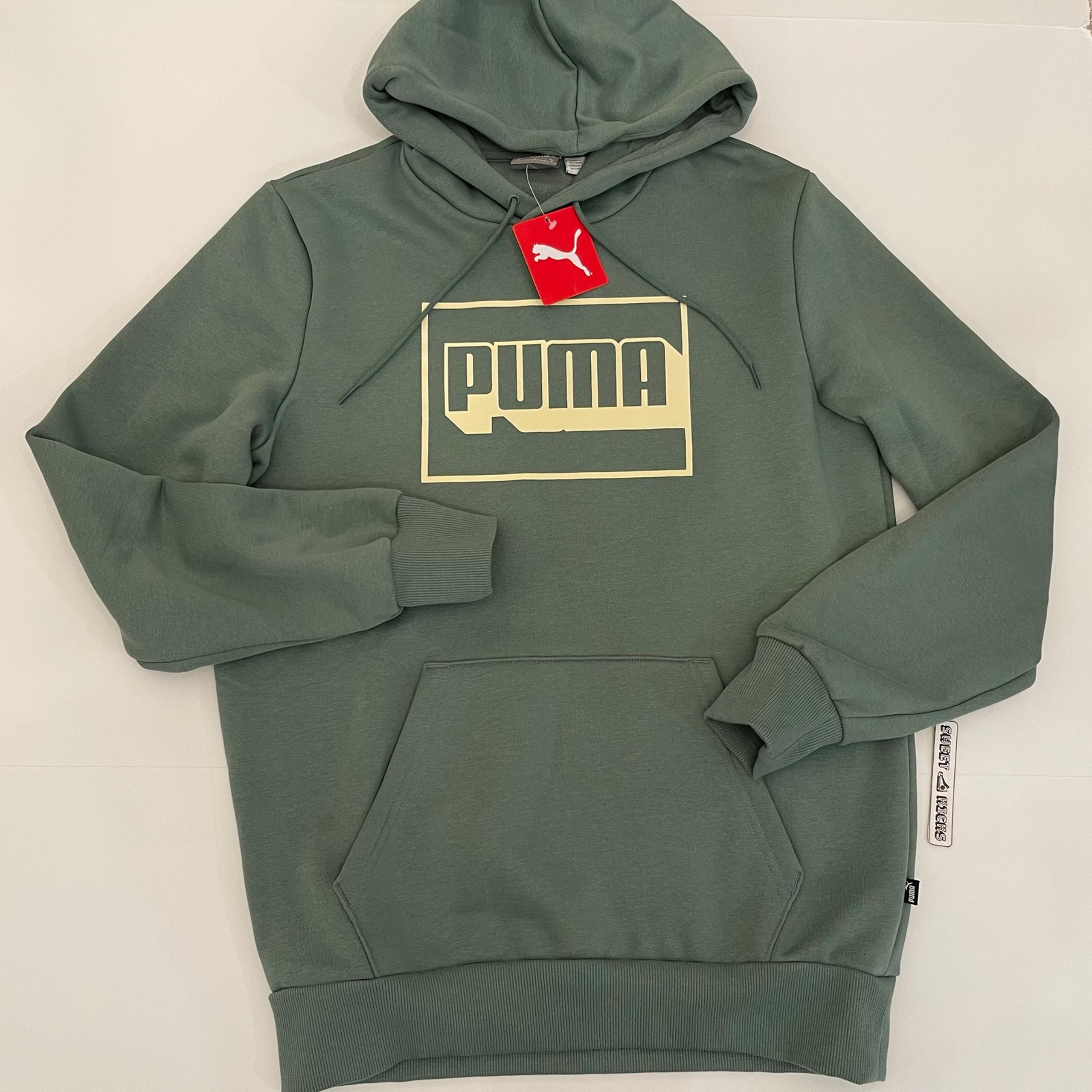 Puma Graphic Hoodie FL Eucalyptus Sweater