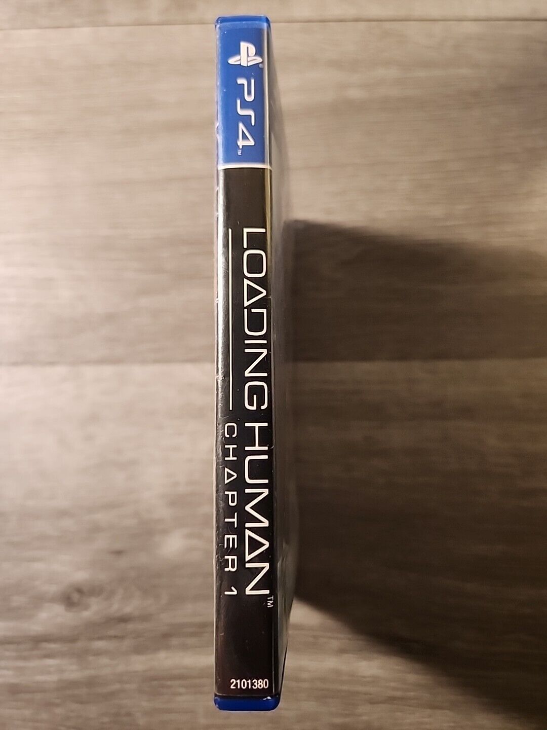 Loading Human: Chapter 1  (PS4 VR Video Game) - detail