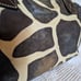 Dooney and Bourke handbag