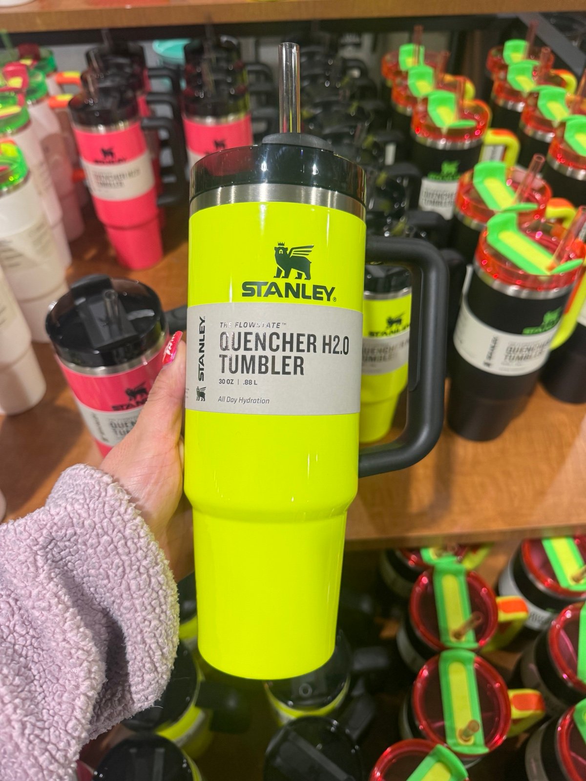 Stanley neon 30 oz