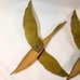 Set 3 Vintage Flying Geese Ducks Wall Art Decor MCM Metal & Brass Nice! 15”
