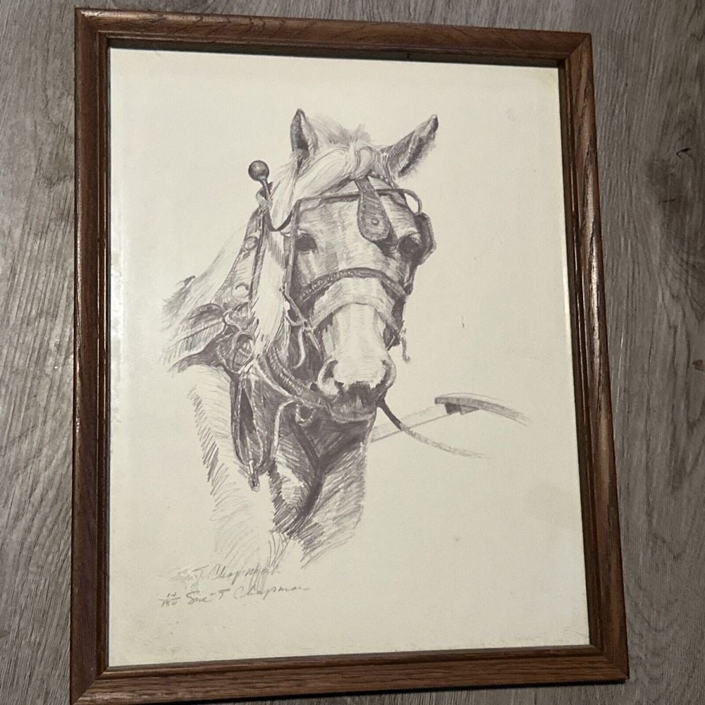 Horse Pencil Art Wall Decor Sue T Chapman Horse wall art Horse Drawing Vintage