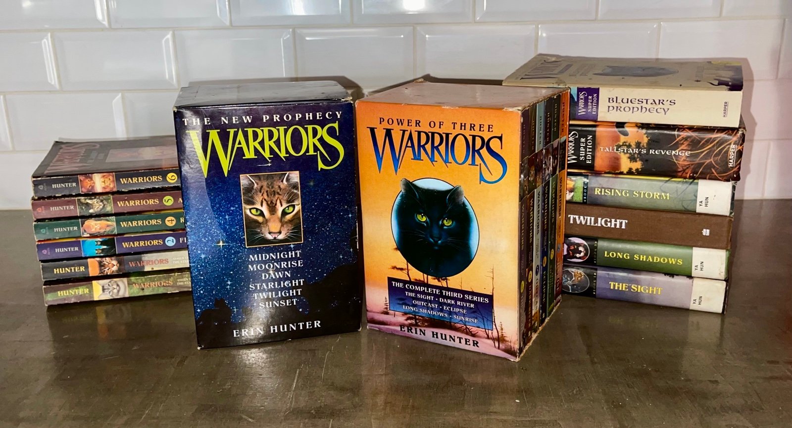 Warriors Series Cat Klan Erin Hunter 2 Complete Series and Mixed Lot 24 Books