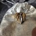 Vintage WITCH OWNED ring-Rest in Peace-FEEL HER PRESENCE, HEAR HER VOICE!