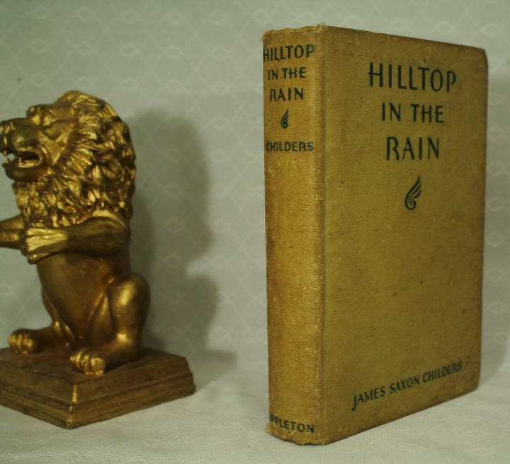 Rare antique old book novel Hilltop