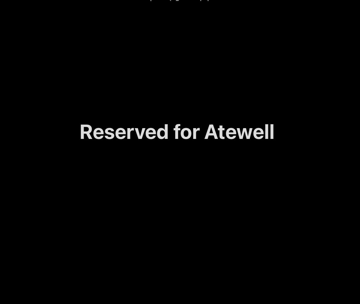Reserved for Atewell, PLZ DONT BUY