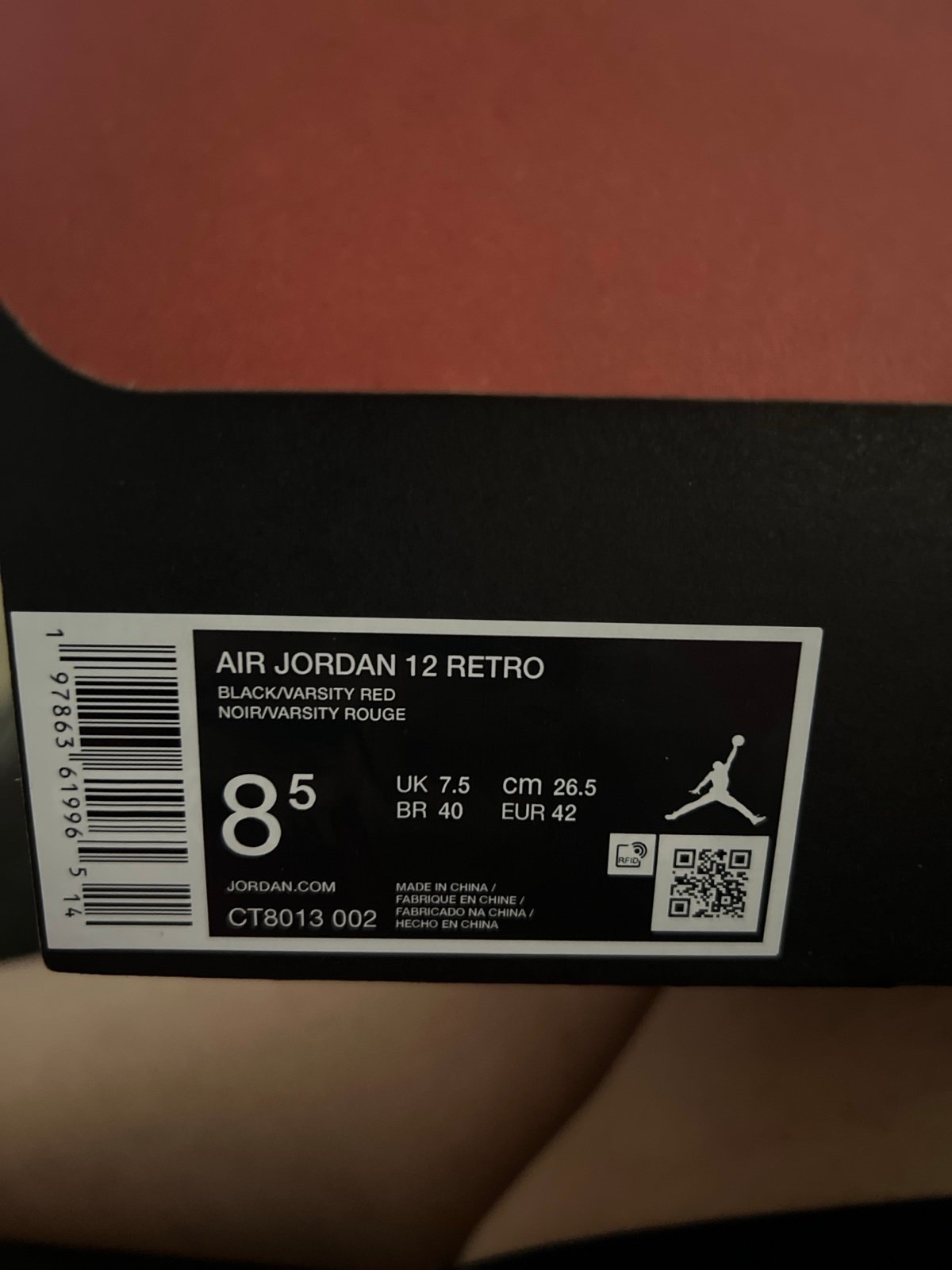 Air Jordan 12 Flu Games(SOLD)