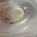 2016 S Reagan 1 Presidential Proof Set First Release ANACS Certification #115
