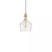 HAMPTON HILL Auburn 1 Gold/Clear Pendant Light