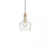 HAMPTON HILL Auburn 1 Gold/Clear Pendant Light