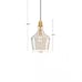 HAMPTON HILL Auburn 1 Gold/Clear Pendant Light