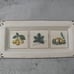 Williams Sonoma Rectangle Ceramic Serving Dish Ceramiche Arianna Made in Italy
