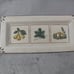 Williams Sonoma Rectangle Ceramic Serving Dish Ceramiche Arianna Made in Italy