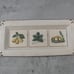Williams Sonoma Rectangle Ceramic Serving Dish Ceramiche Arianna Made in Italy