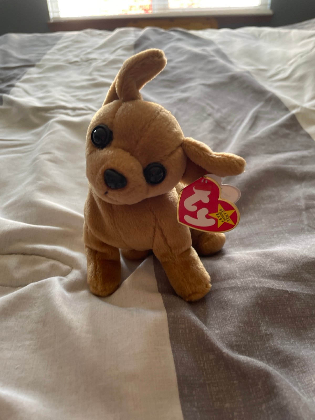 Ty Beanie Babies Tiny The Chihuahua