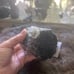 Erongo Fluorite on Black Tourmaline