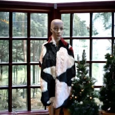 Donna Salyers' FABULOUS FURS