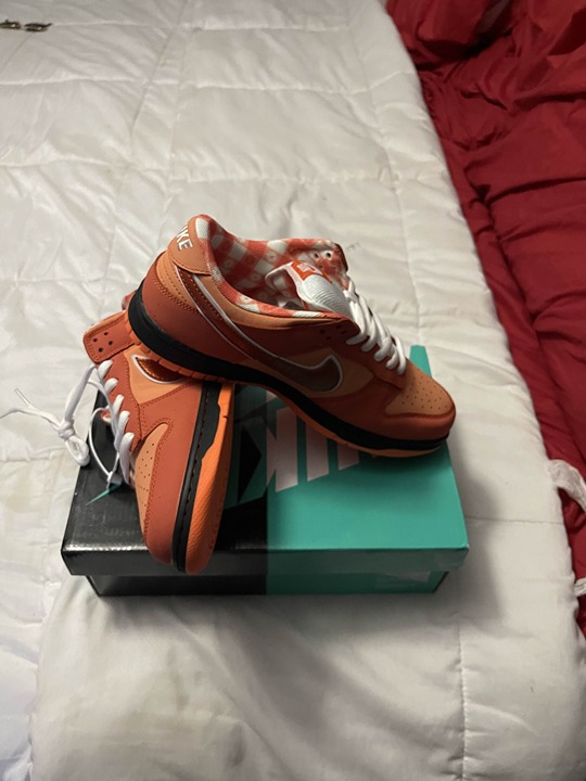 The Nike Dunk Low SB x Concepts Orange Lobster