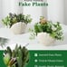 Fake Plants Set of 2, Assorted Faux Succulents Artificial Plants