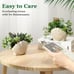 Fake Plants Set of 2, Assorted Faux Succulents Artificial Plants
