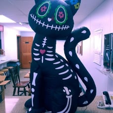 4Ft Halloween Inflatable Cat Decoration Outdoor Halloween Blows Up Spook