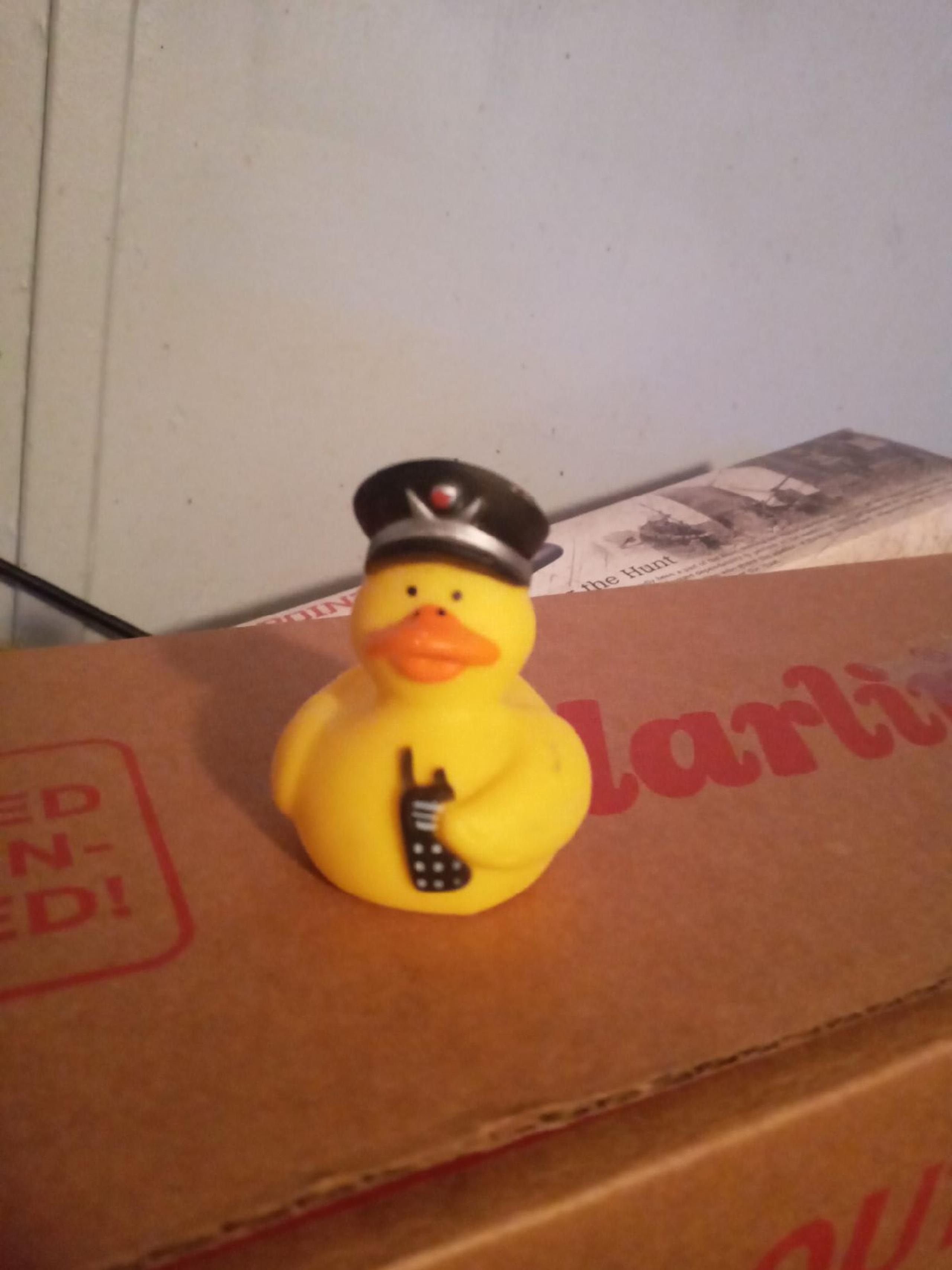 A duck - Ancra International