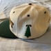 Electric Forest 2020 leap year Grassroots flatbrim snapback hat pandemic RARE