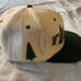 Electric Forest 2020 leap year Grassroots flatbrim snapback hat pandemic RARE