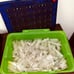 Laser Pegs The Original Lighted 253 Piece Set lot Toys Building Bricks LightUp