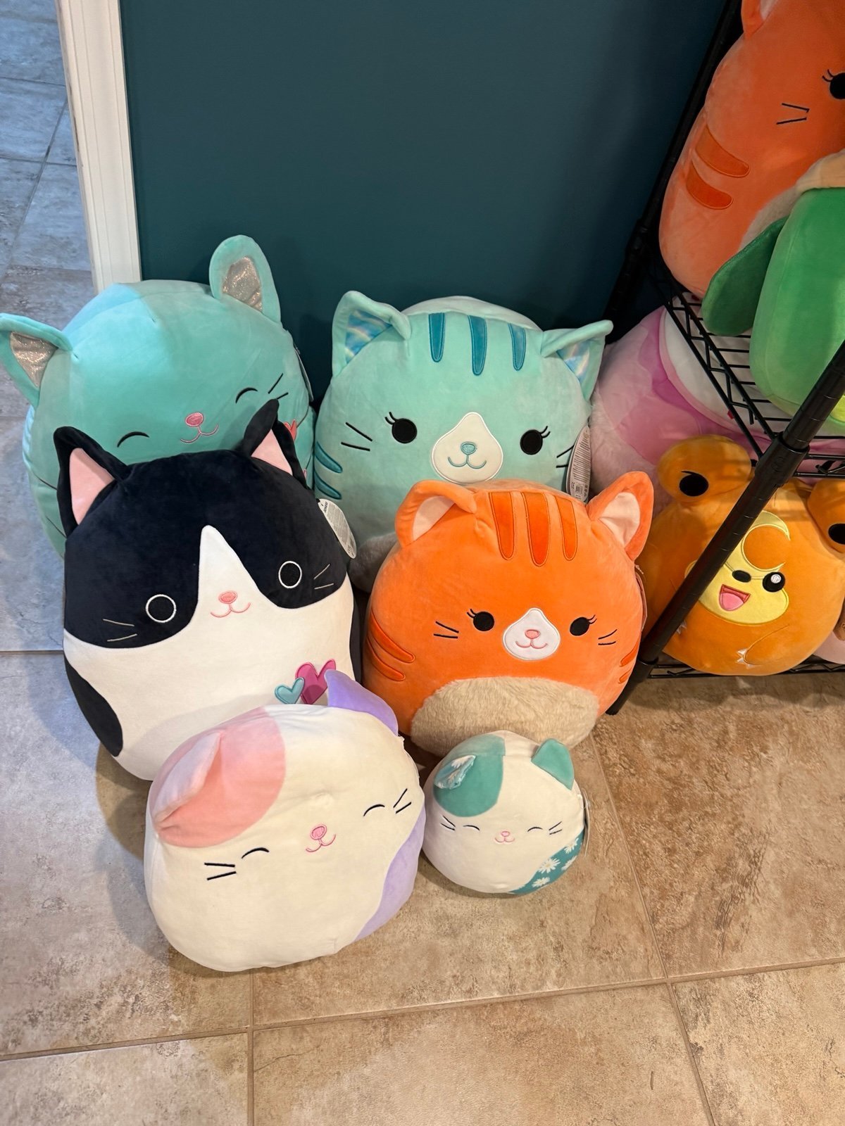 Squishmallow Cat Bundle Charisma, Corinna Cicely Gigi Carlota Kesla all BNWT