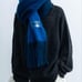 SINSS Gradient Scarf - Sold Out