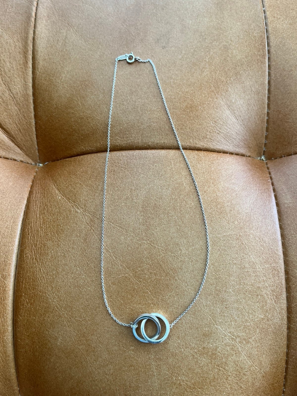 Tiffany's Interlocking Circles Pendant