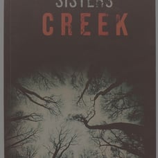 What Happened At Sisters Creek by Lee Anderson 2020 Paperback 9781735932507