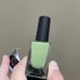Holo Taco Matcha Maker *discontinued*