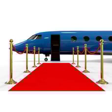 Vinyl Hollywood Red Carpet Backdrop photography 10x7 ft