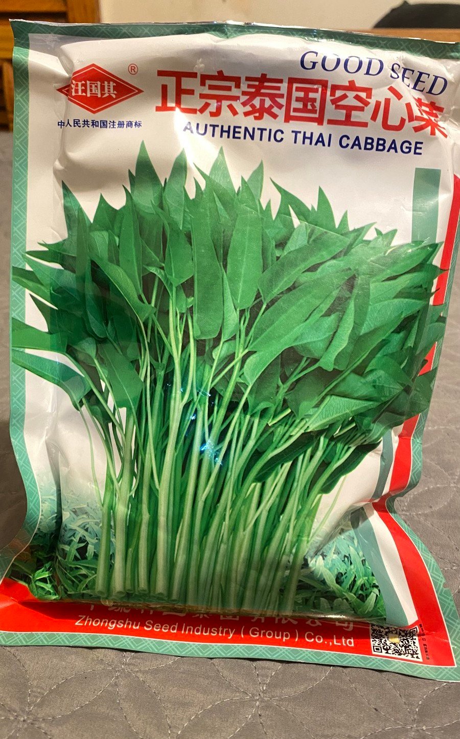 （500g/bag） Water Spinach seed, Rau ong choy 10000+ seeds 2023/Dec NEW!