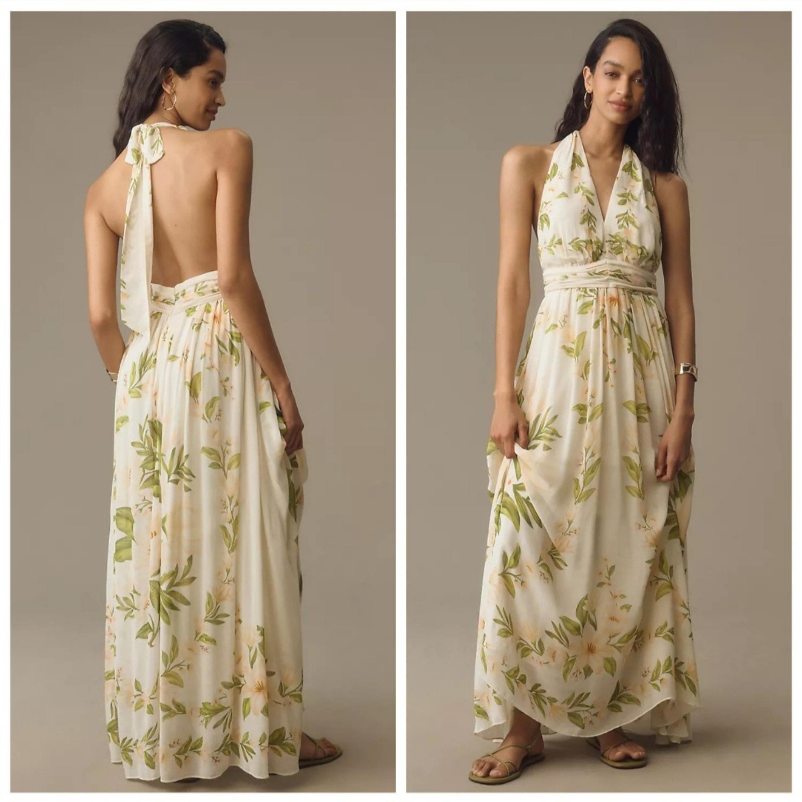 Farm Rio x Anthropologie V-Neck Floral Chiffon Maxi Dress