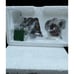 Dept 56 Heritage Village 1995 Chelsea Market Hat Monger & Cart 58392 Nice!